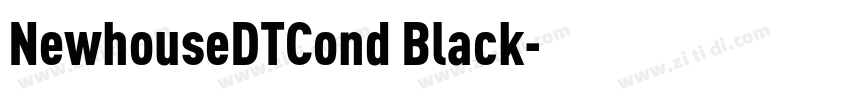 NewhouseDTCond Black字体转换